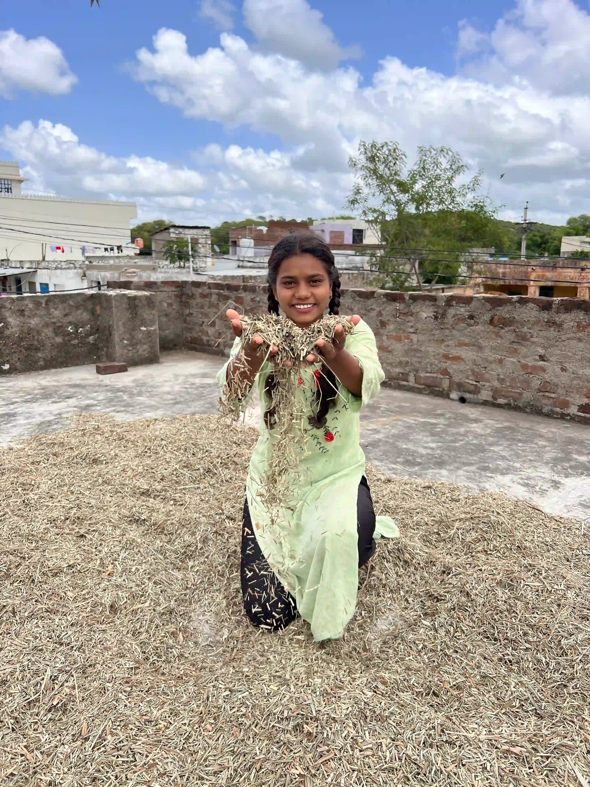 Empowering Farmers in Rajasthan Through Lemongrass